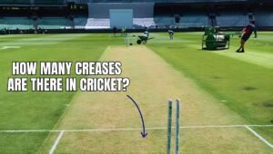 how many creases are there in cricket