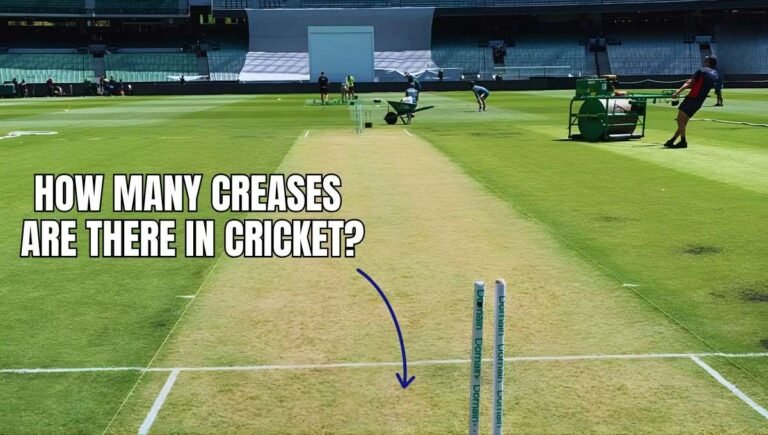 how many creases are there in cricket