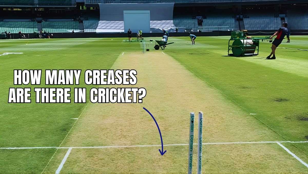 how many creases are there in cricket