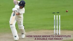 how many wickets constitute a double hat-trick